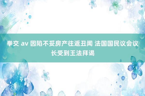 拳交 av 因陷不妥房产往返丑闻 法国国民议会议长受到王法拜谒