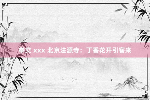 拳交 xxx 北京法源寺：丁香花开引客来