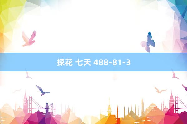 探花 七天 488-81-3