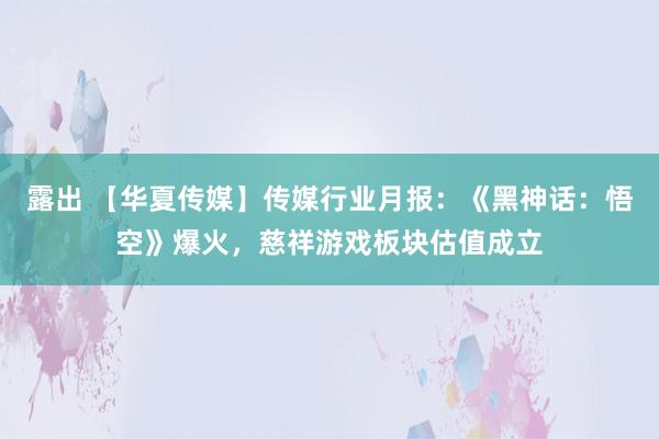 露出 【华夏传媒】传媒行业月报：《黑神话：悟空》爆火，慈祥游戏板块估值成立