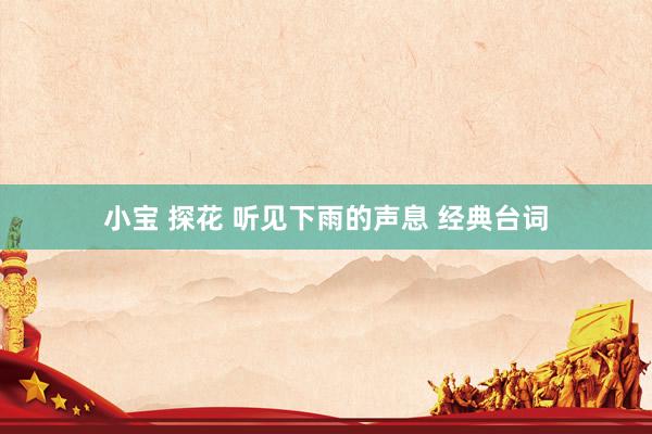 小宝 探花 听见下雨的声息 经典台词