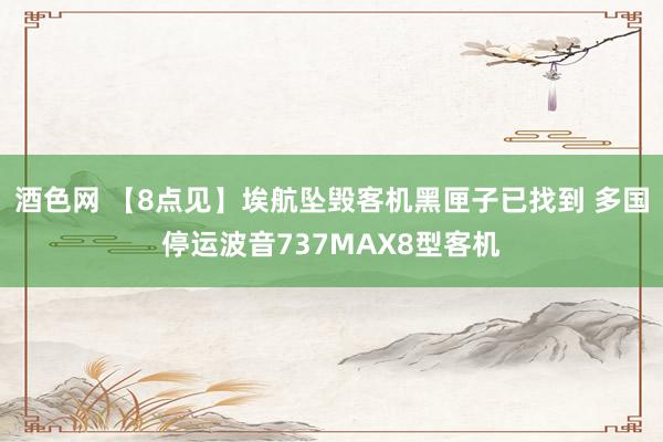 酒色网 【8点见】埃航坠毁客机黑匣子已找到 多国停运波音737MAX8型客机