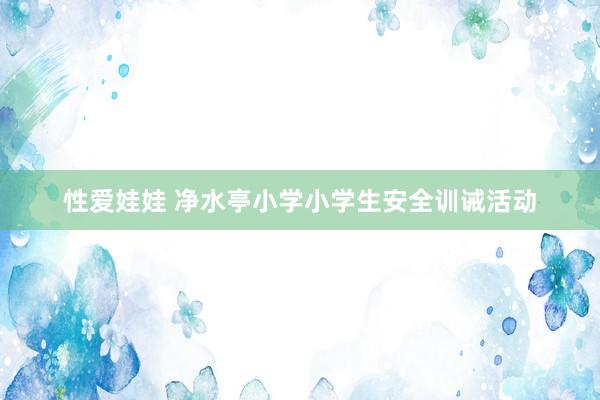 性爱娃娃 净水亭小学小学生安全训诫活动