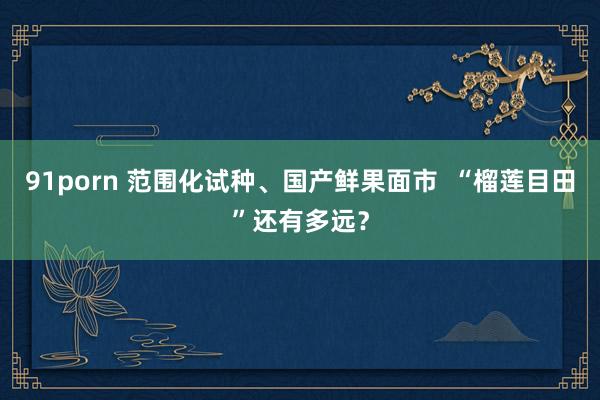 91porn 范围化试种、国产鲜果面市  “榴莲目田”还有多远？