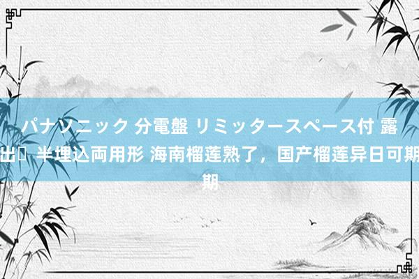 パナソニック 分電盤 リミッタースペース付 露出・半埋込両用形 海南榴莲熟了，国产榴莲异日可期
